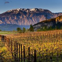 KeysofItaly-Esperienze-Milano-Franciacorta-3